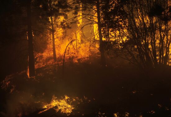 US Wildfires 