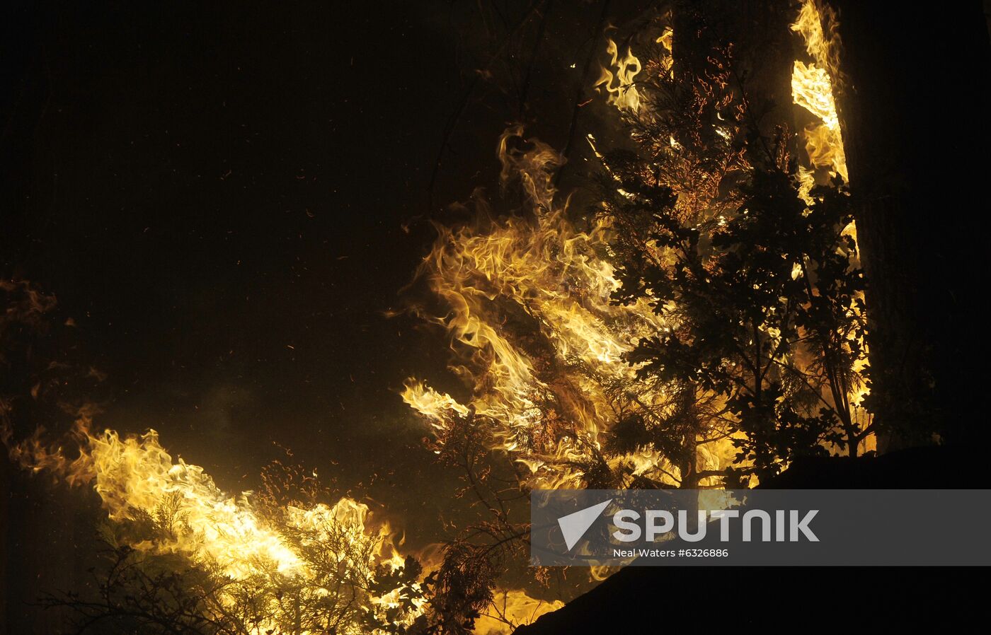 US Wildfires