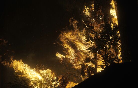US Wildfires 