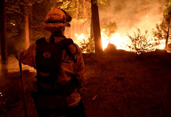 US Wildfires 