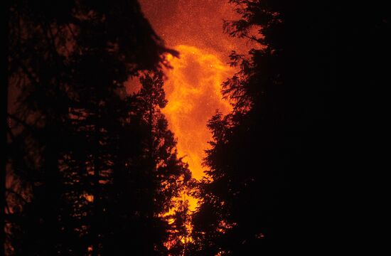 US Wildfires 