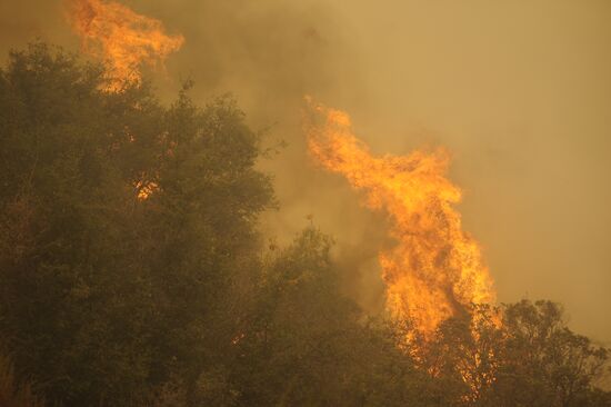 US Wildfires