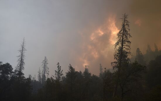 US Wildfires