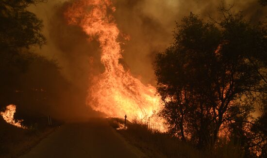 US Wildfires