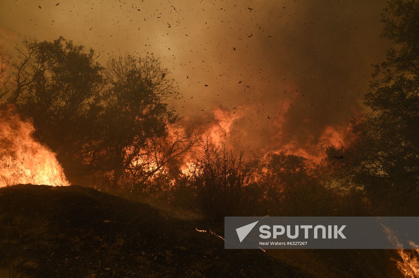 US Wildfires