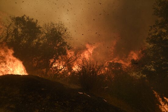 US Wildfires