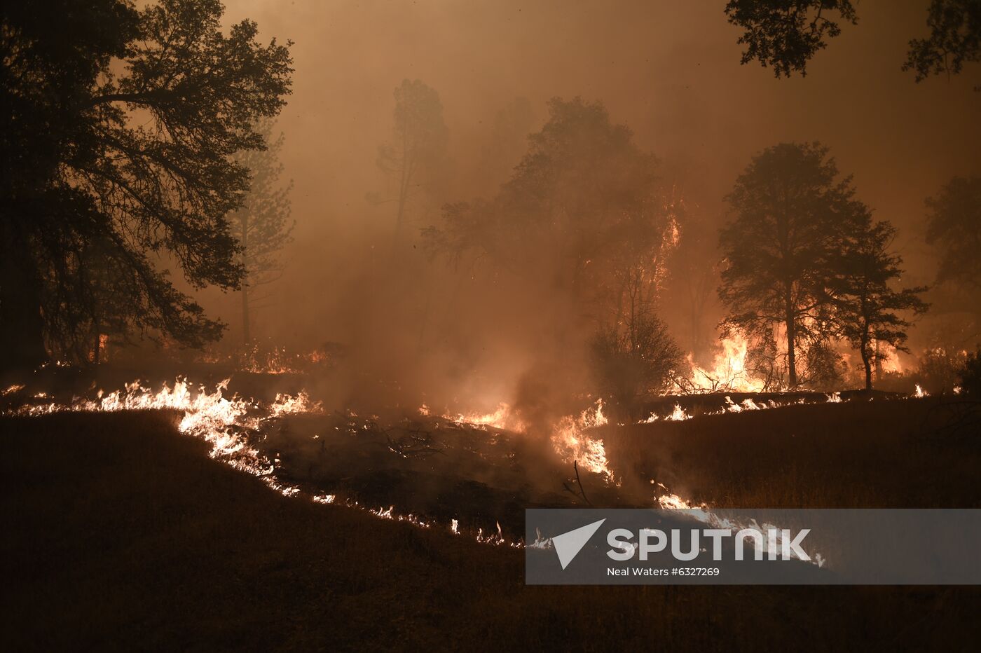 US Wildfires