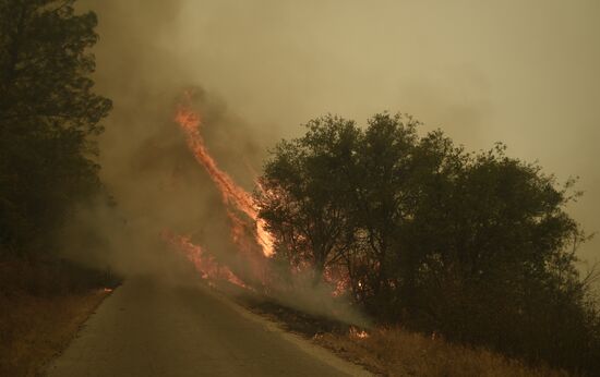 US Wildfires
