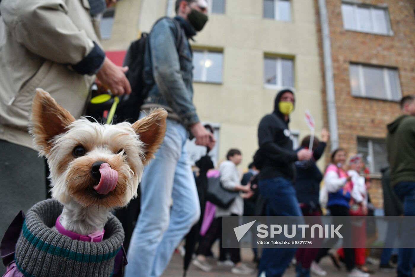 Belarus Presidential Election Protest