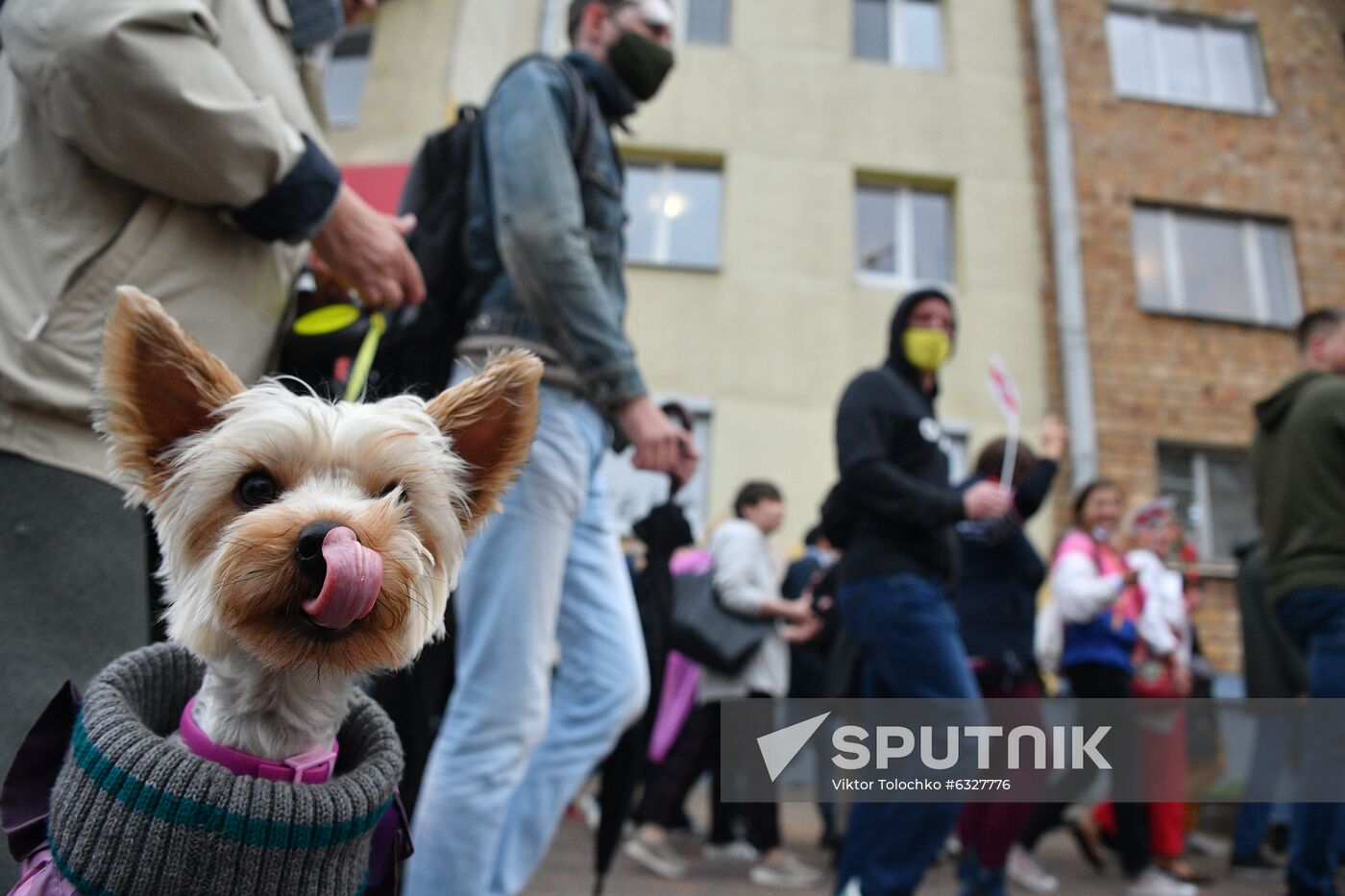 Belarus Presidential Election Protest