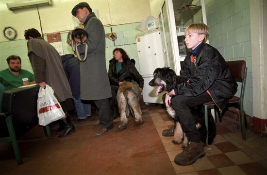 Animal Rescue Fund clinic