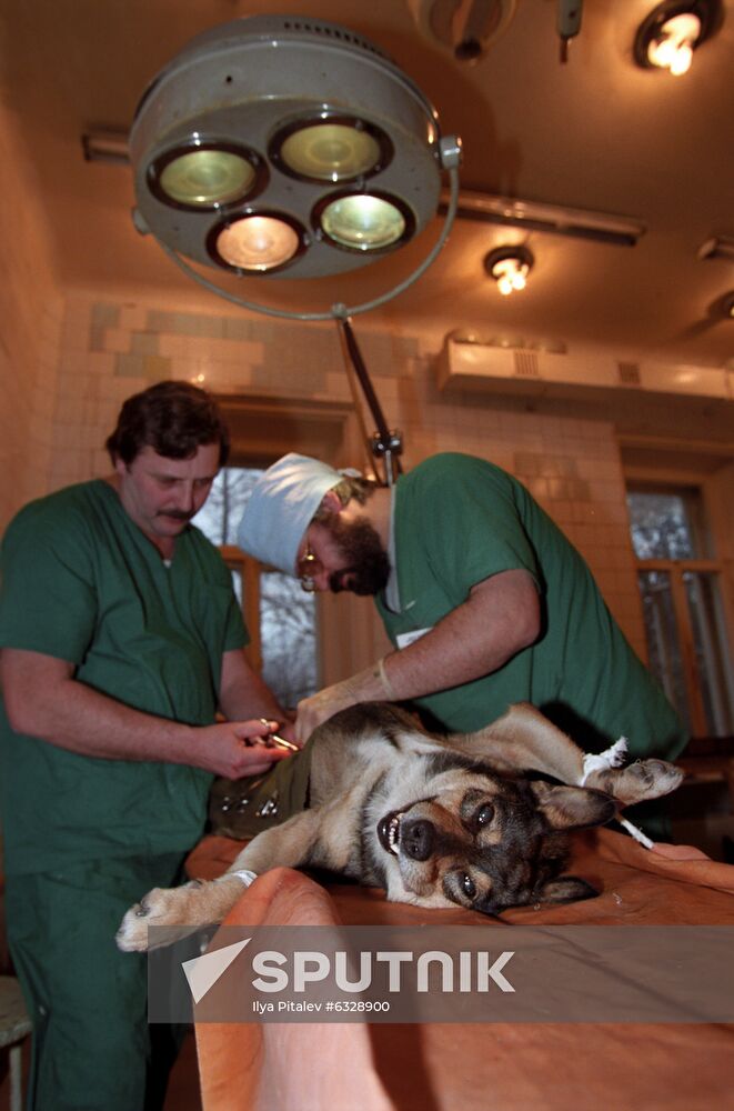 Animal Rescue Fund clinic
