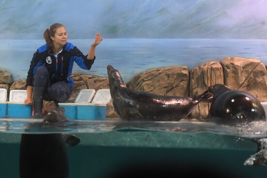 Russia Baikal Seals