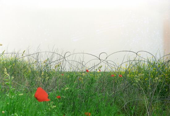 Republic of Serbian Krajina