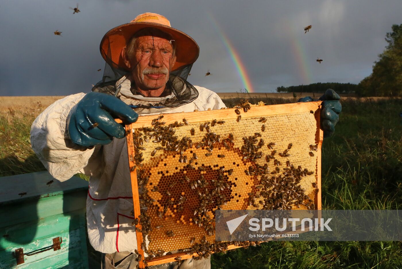Russia Apiary