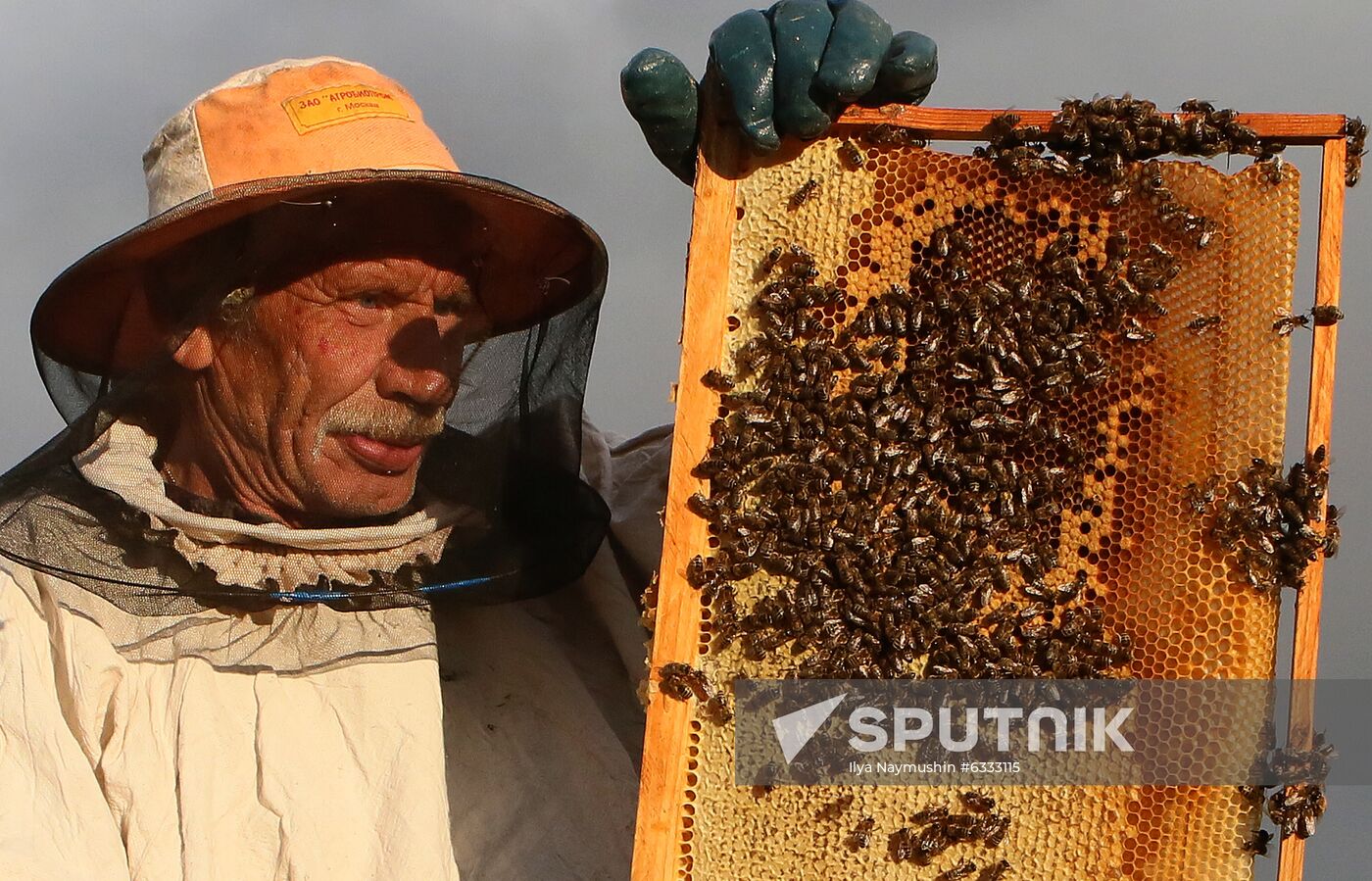 Russia Apiary