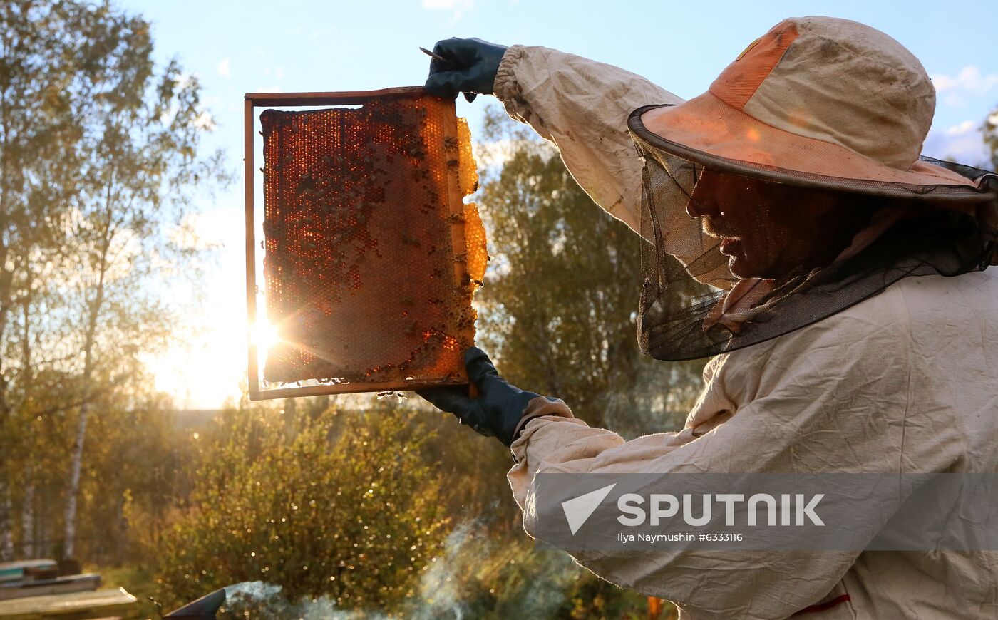 Russia Apiary