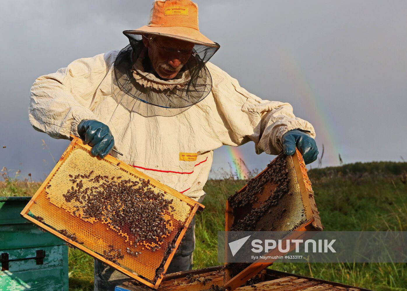 Russia Apiary