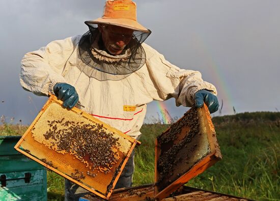 Russia Apiary