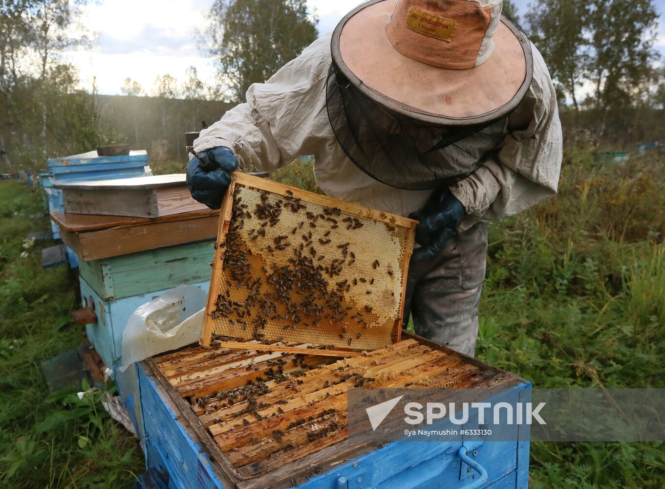 Russia Apiary