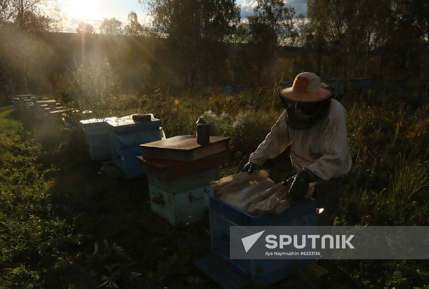 Russia Apiary