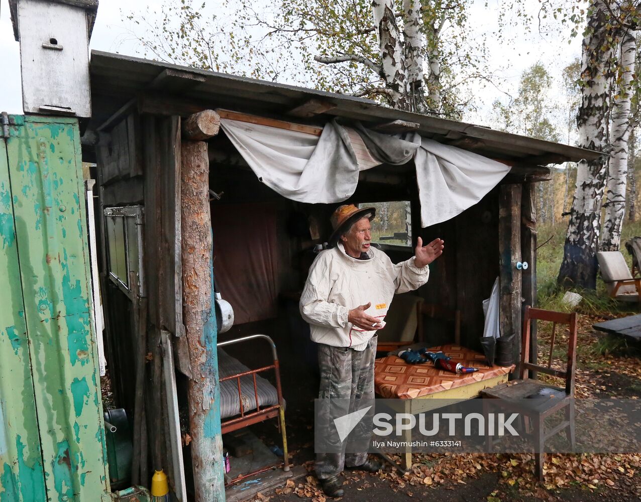 Russia Apiary