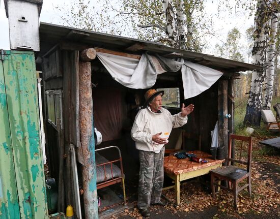 Russia Apiary