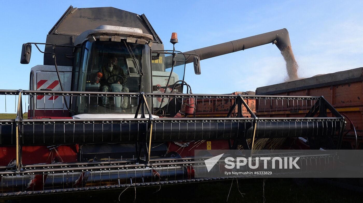 Russia Wheat Harvest