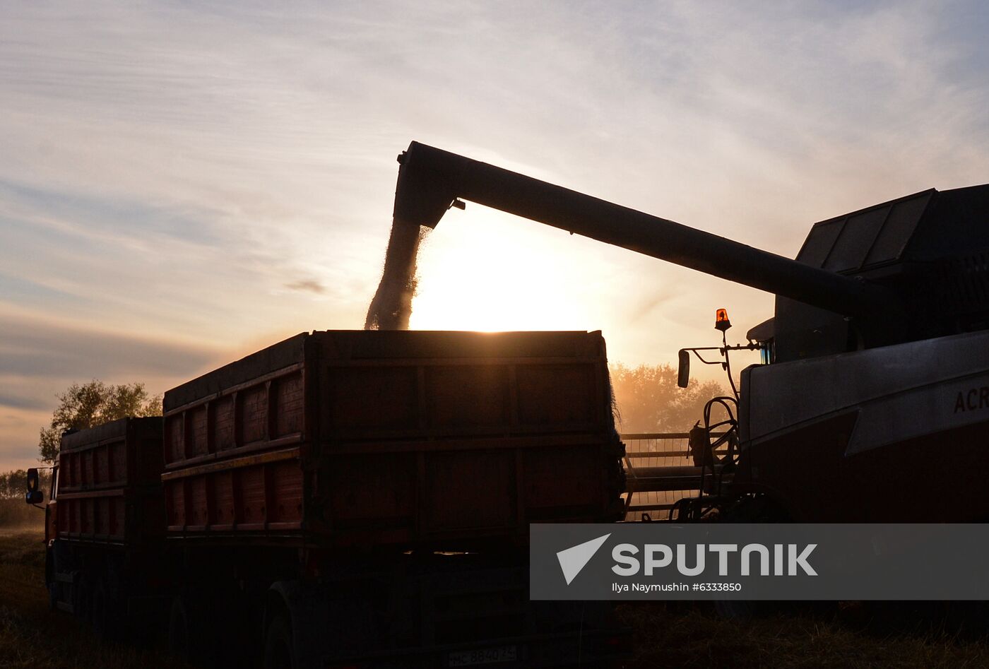 Russia Wheat Harvest