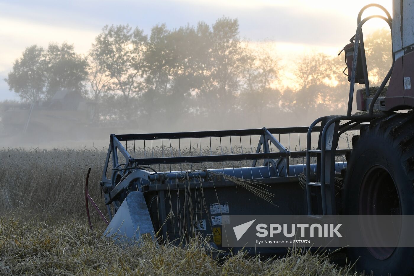 Russia Wheat Harvest