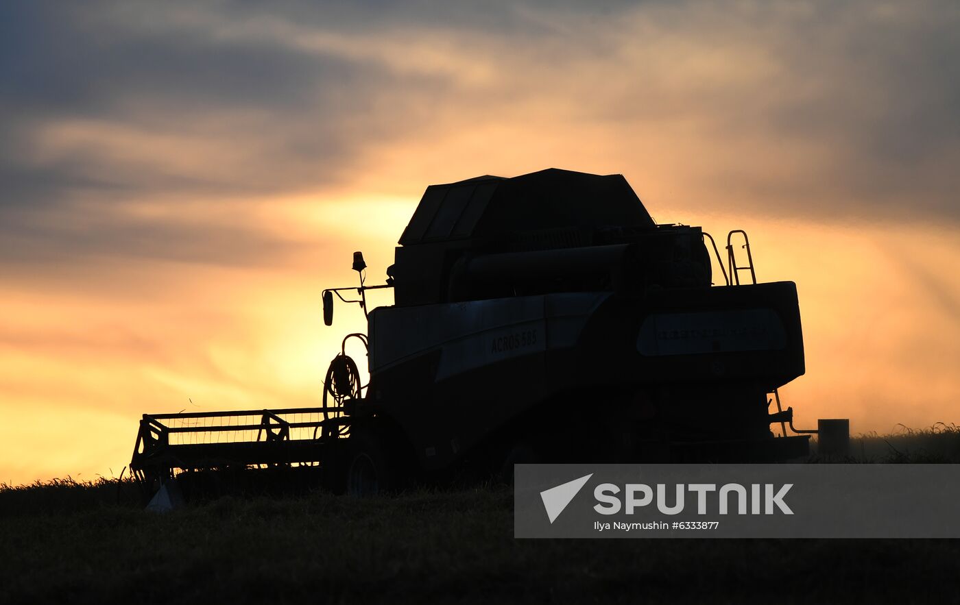Russia Wheat Harvest