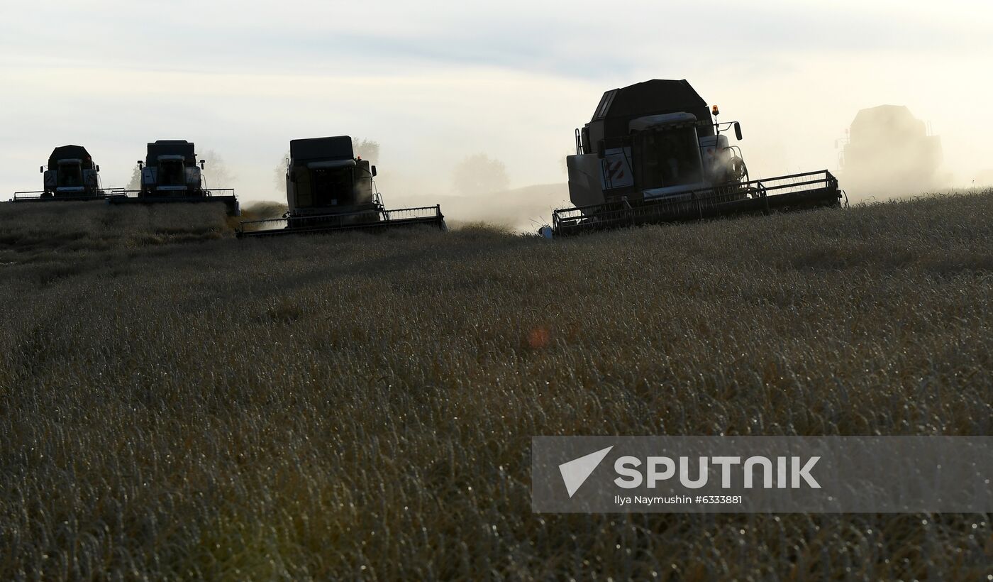 Russia Wheat Harvest