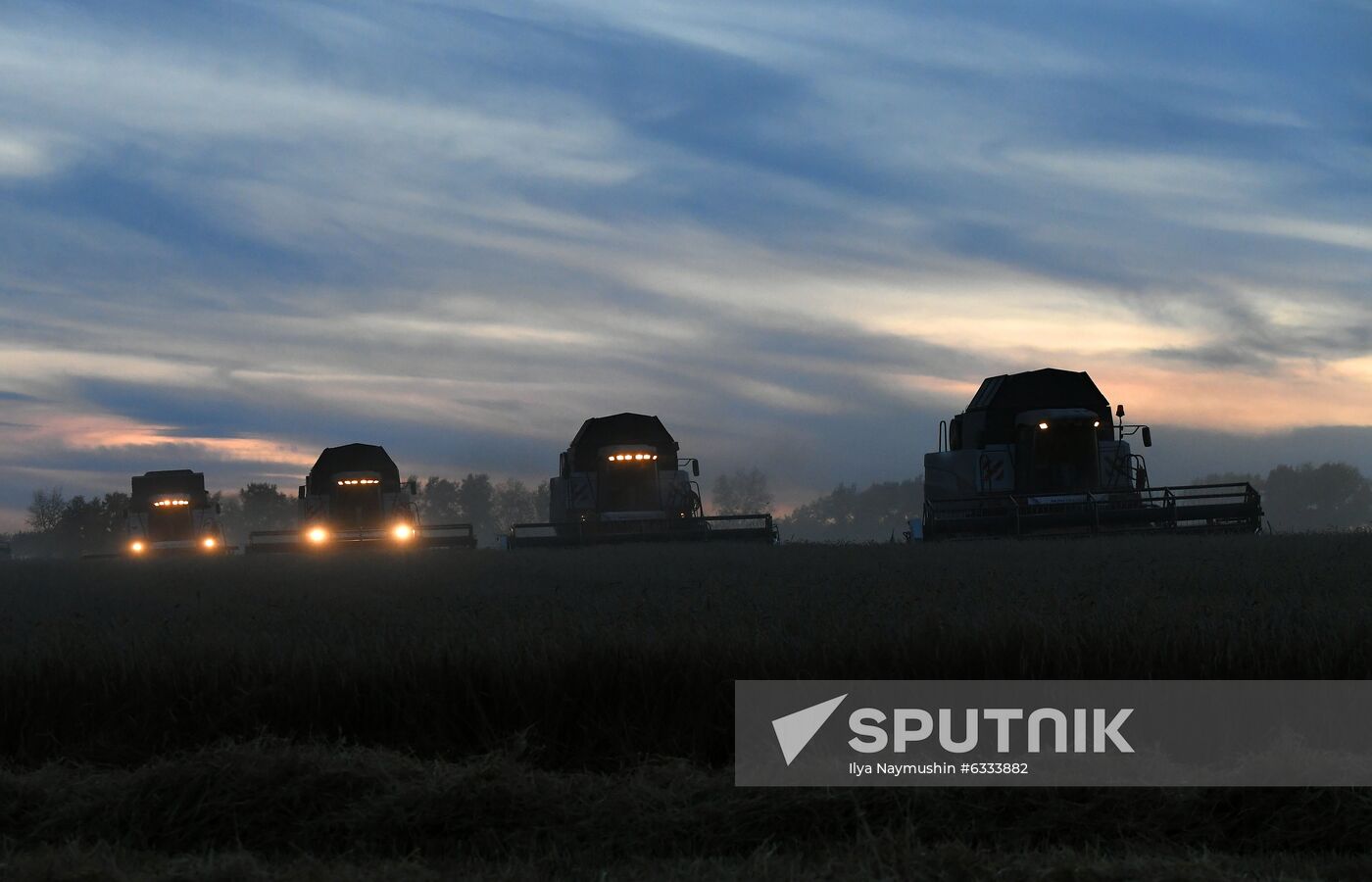 Russia Wheat Harvest