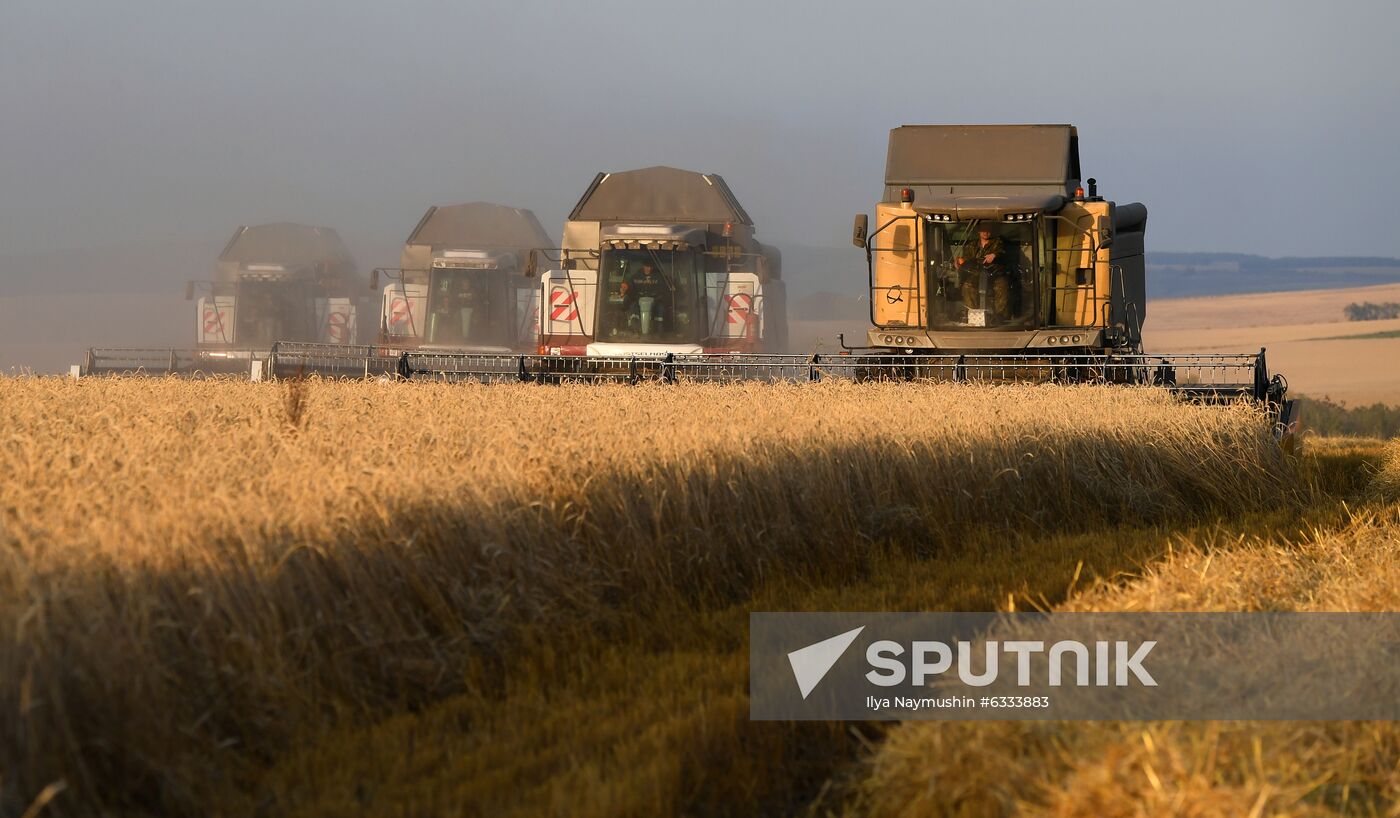 Russia Wheat Harvest
