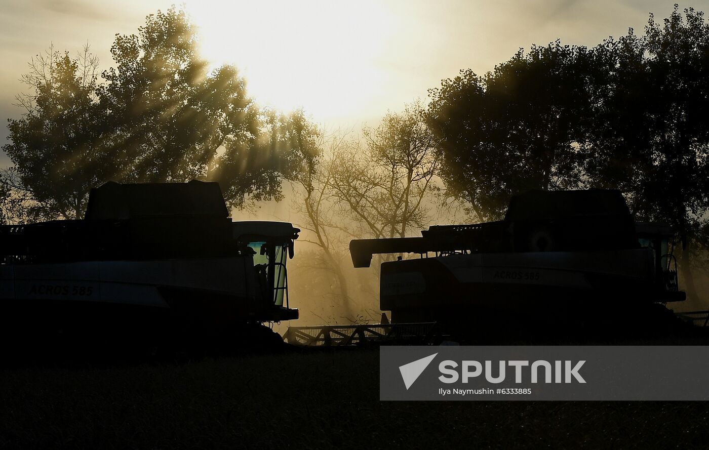 Russia Wheat Harvest