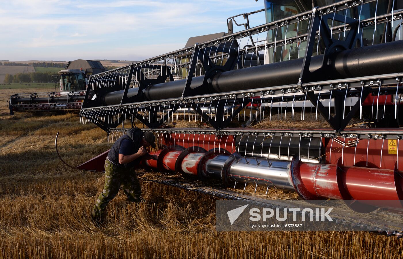 Russia Wheat Harvest