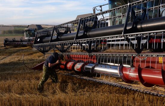 Russia Wheat Harvest