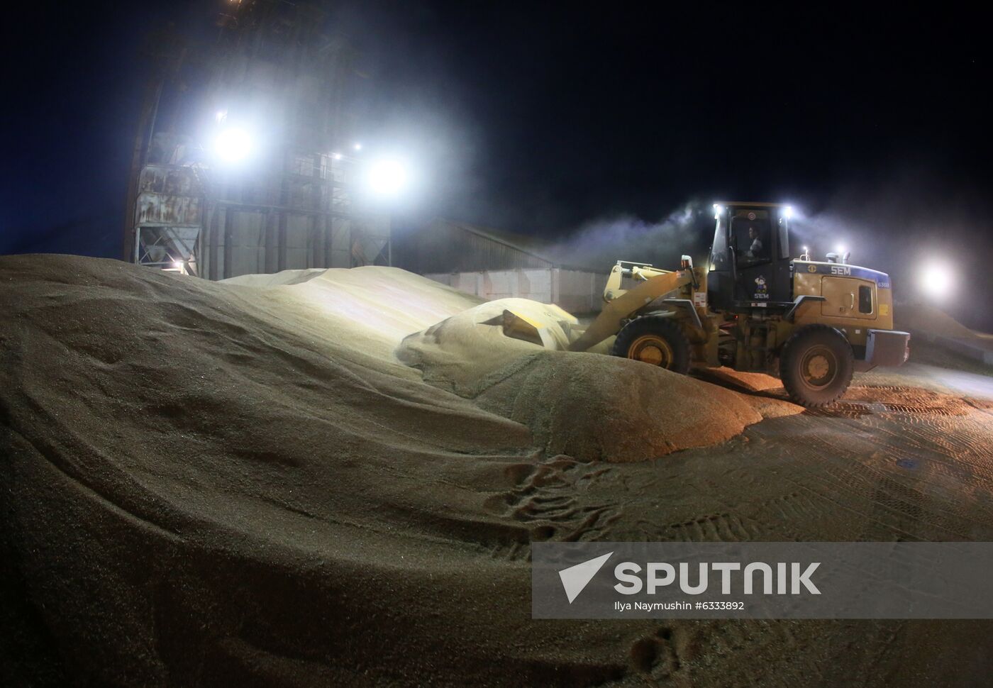Russia Wheat Harvest