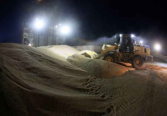 Russia Wheat Harvest