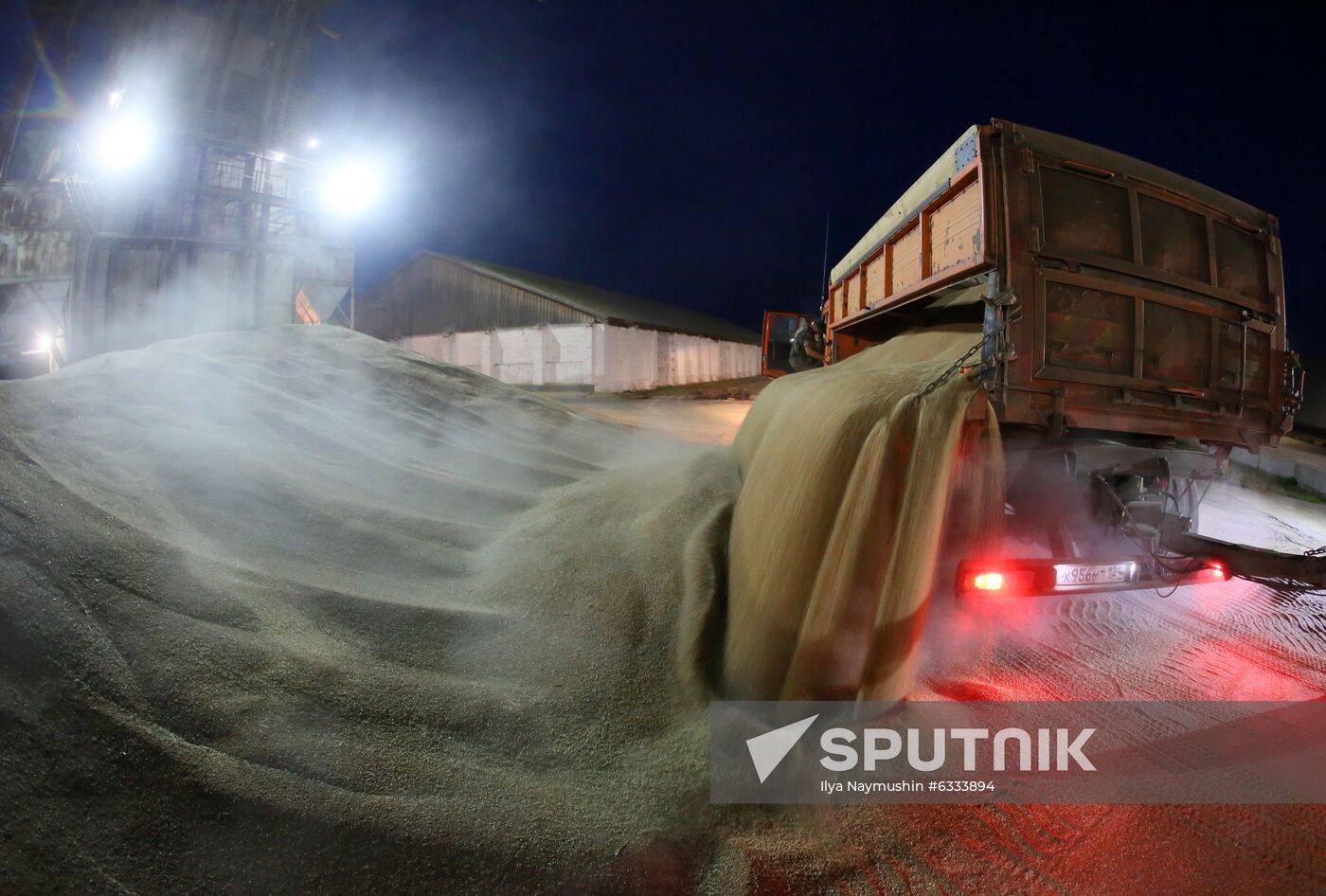 Russia Wheat Harvest