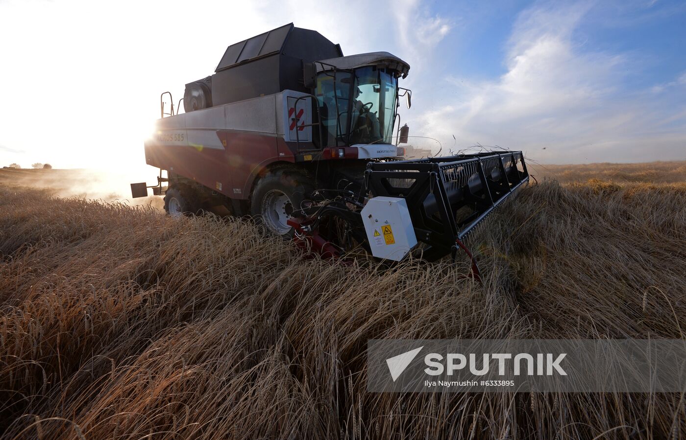 Russia Wheat Harvest