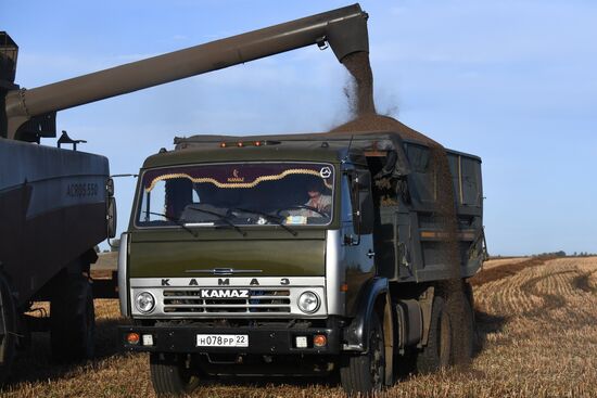 Russia Private Farm