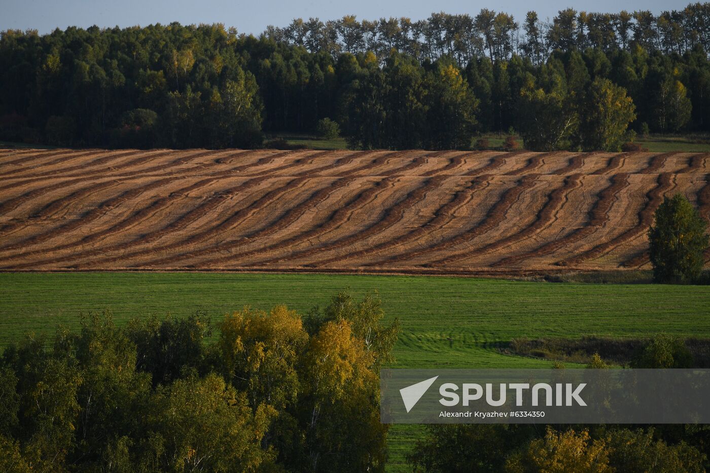 Russia Private Farm