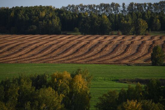 Russia Private Farm