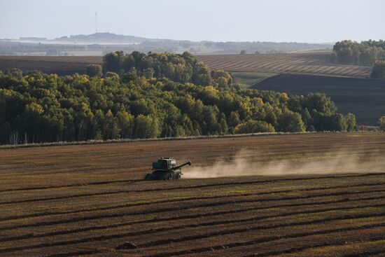 Russia Private Farm