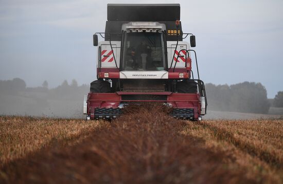 Russia Private Farm