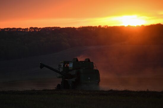 Russia Private Farm