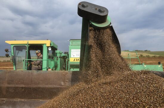 Russia Private Farm