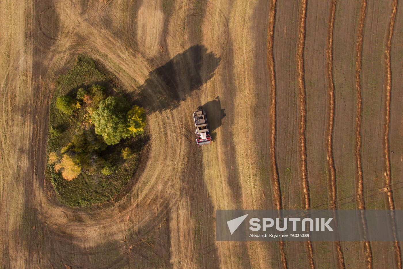 Russia Private Farm