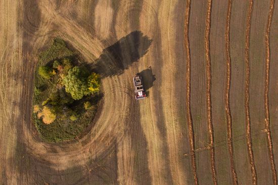 Russia Private Farm